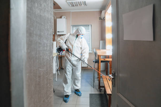 Best Mold Damage Restoration  in New Britain, CT