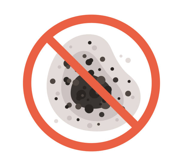 Forensic Mold Investigation in New Britain, CT
