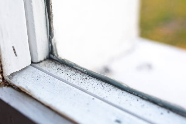 Best Mold Remediation for Healthcare Facilities  in New Britain, CT