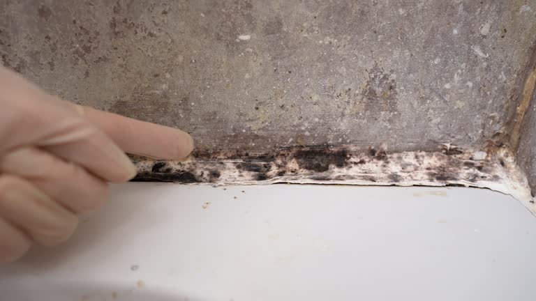 Best Post-Construction Mold Inspection  in New Britain, CT