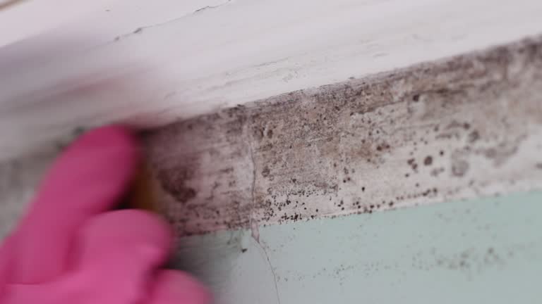 Best Airborne Mold Testing  in New Britain, CT